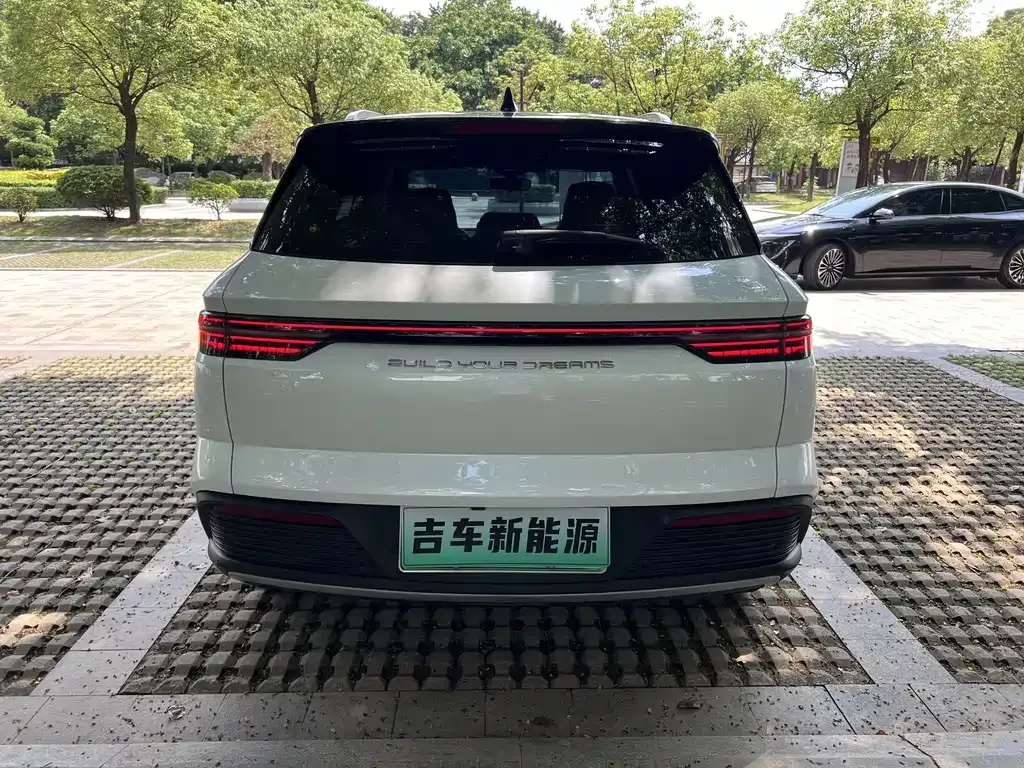 BYD Pro New Energy 2024 из CN, фото 8