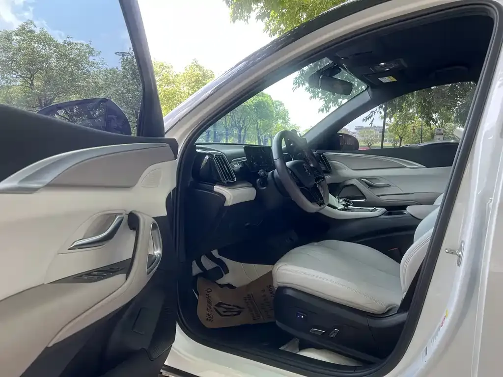 BYD Pro New Energy 2024 из CN, фото 4