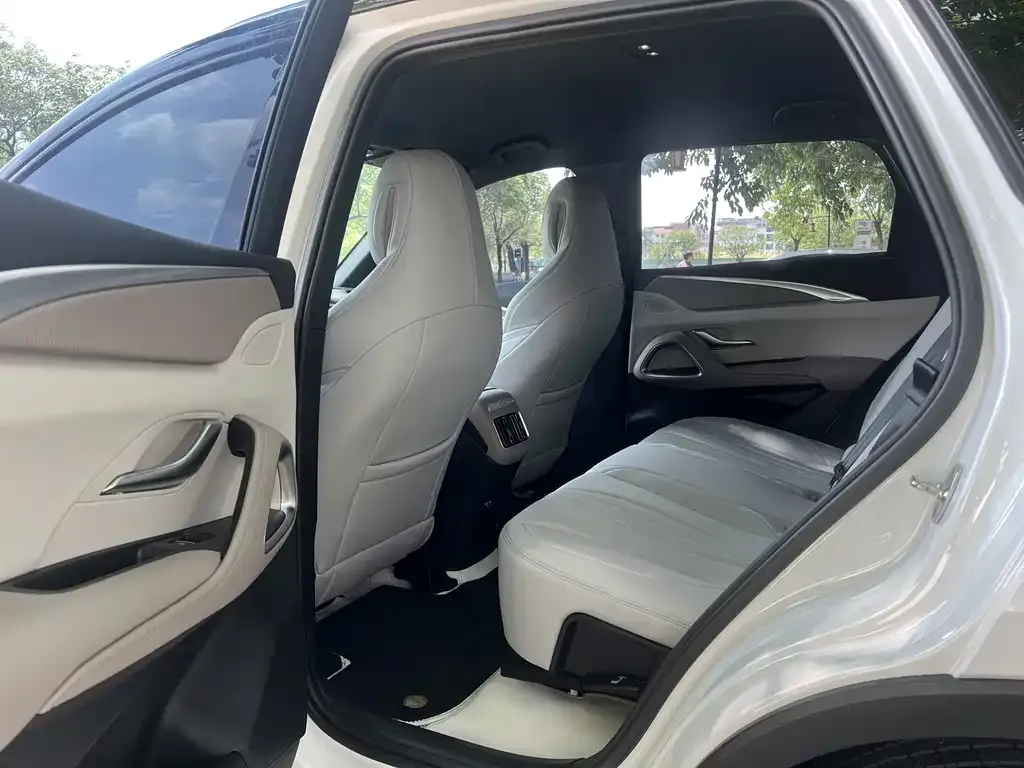 BYD Pro New Energy 2024 из CN, фото 10