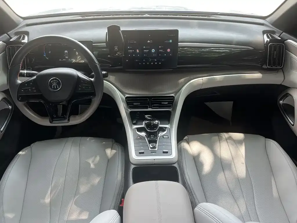 BYD Pro New Energy 2024 из CN, фото 3
