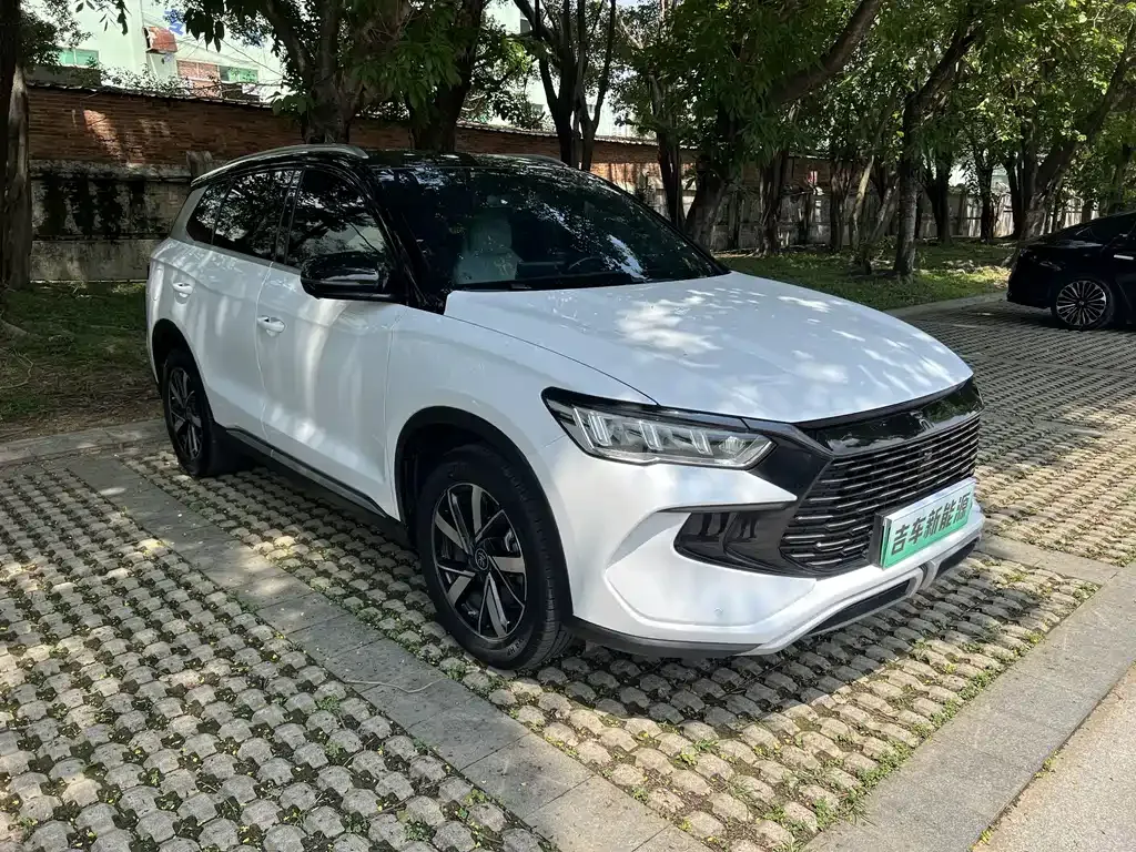 BYD Pro New Energy 2024 из CN, фото 6