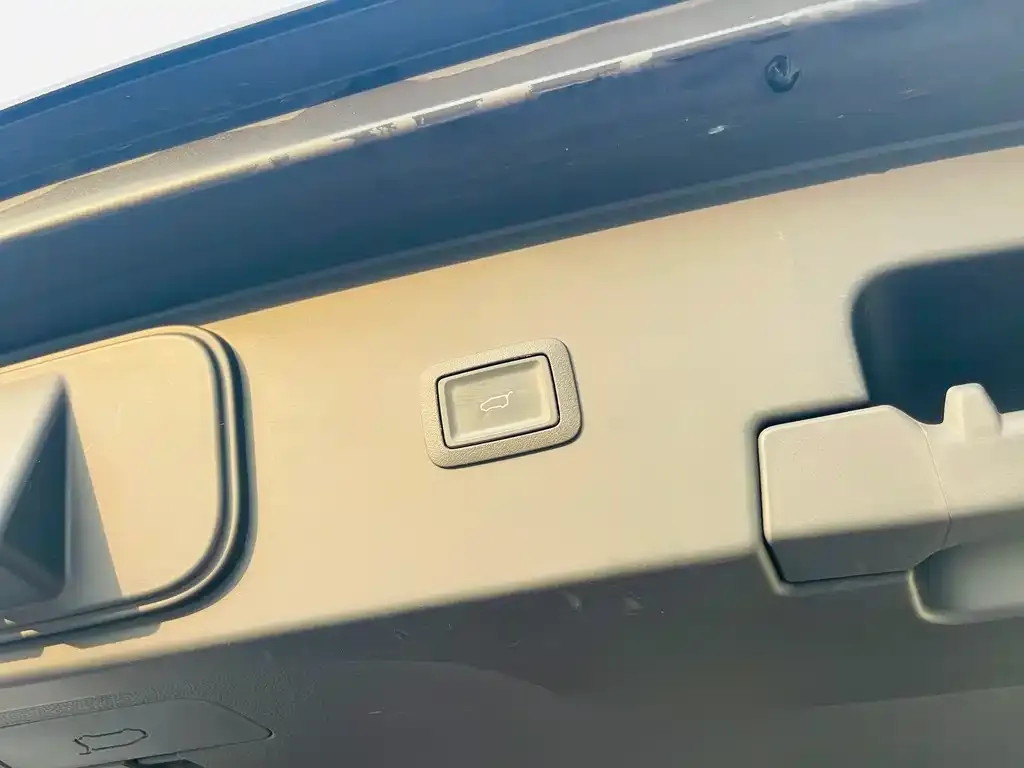 Hongqi HQ9 2023 из CN, фото 3