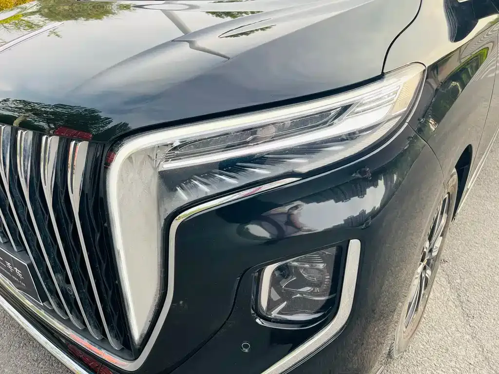 Hongqi HQ9 2023 из CN, фото 2