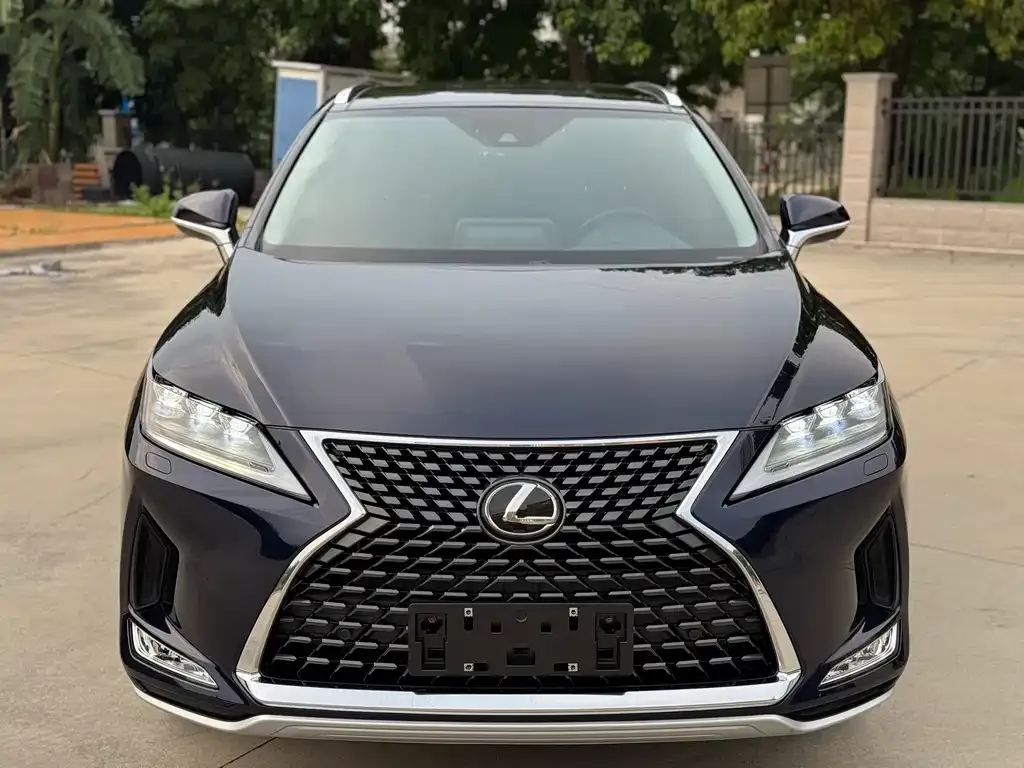 Lexus RX — фото 9