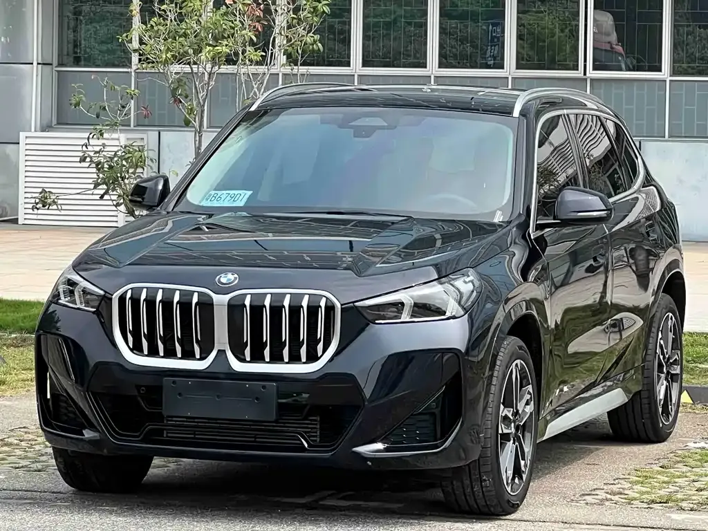 BMW X1 — фото 1