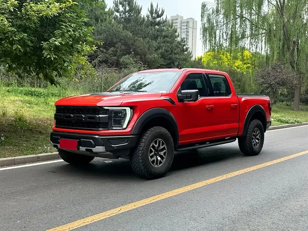 Ford F-150 Raptor 2024 из CN, фото 1