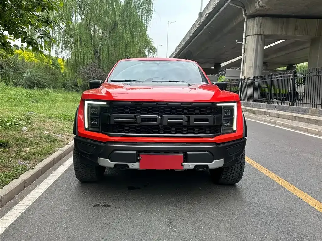 Ford F-150 Raptor 2024 из CN, фото 9