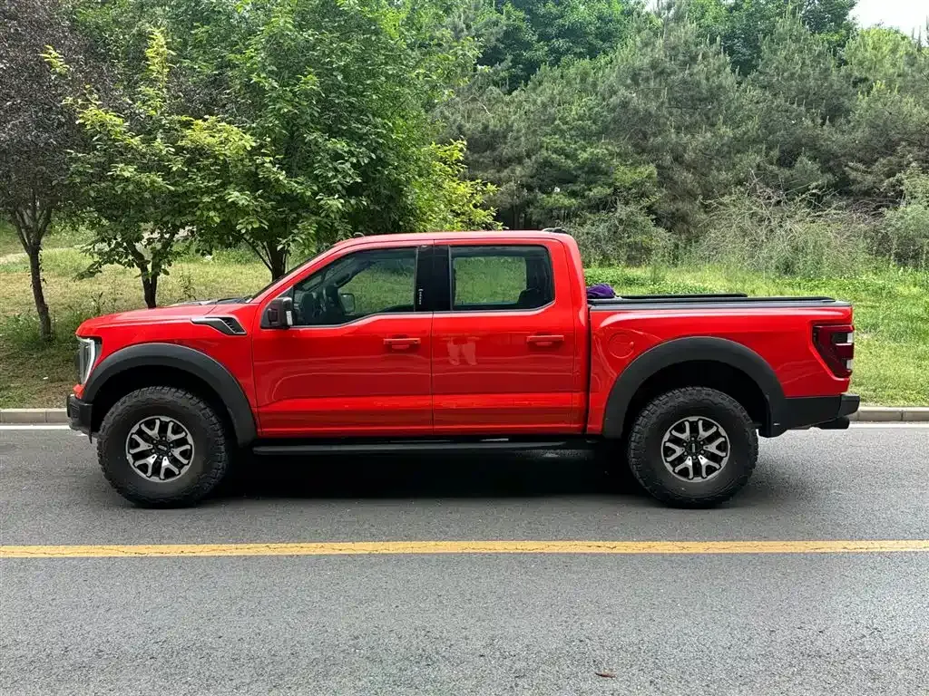 Ford F-150 Raptor 2024 из CN, фото 10