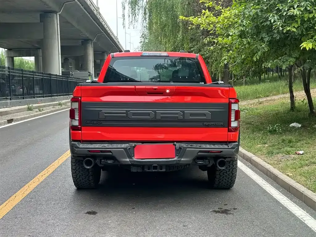 Ford F-150 Raptor 2024 из CN, фото 8