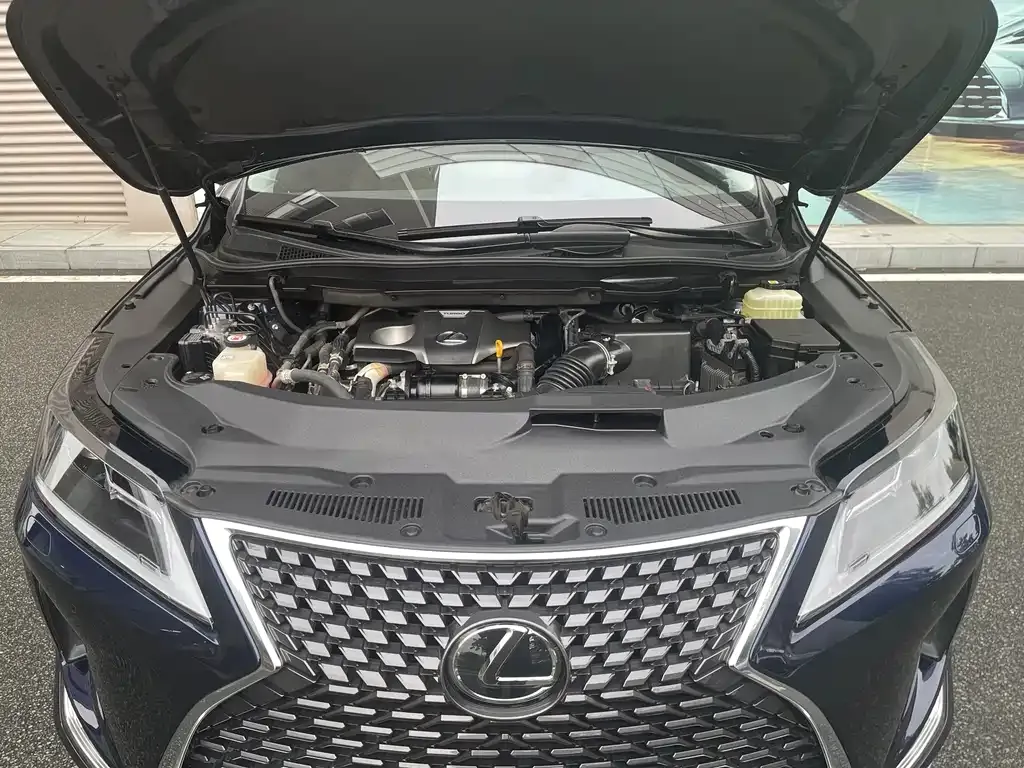 Lexus RX — фото 10
