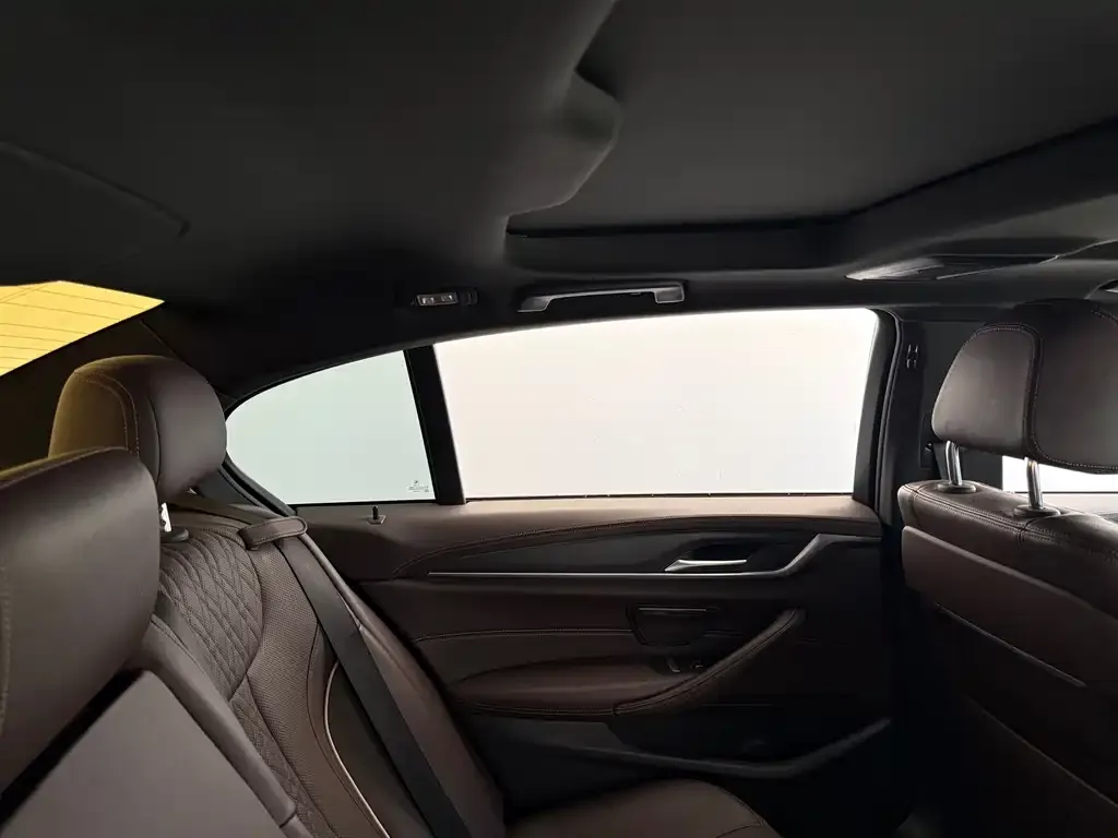 BMW 5 Series 2021 из CN, фото 6