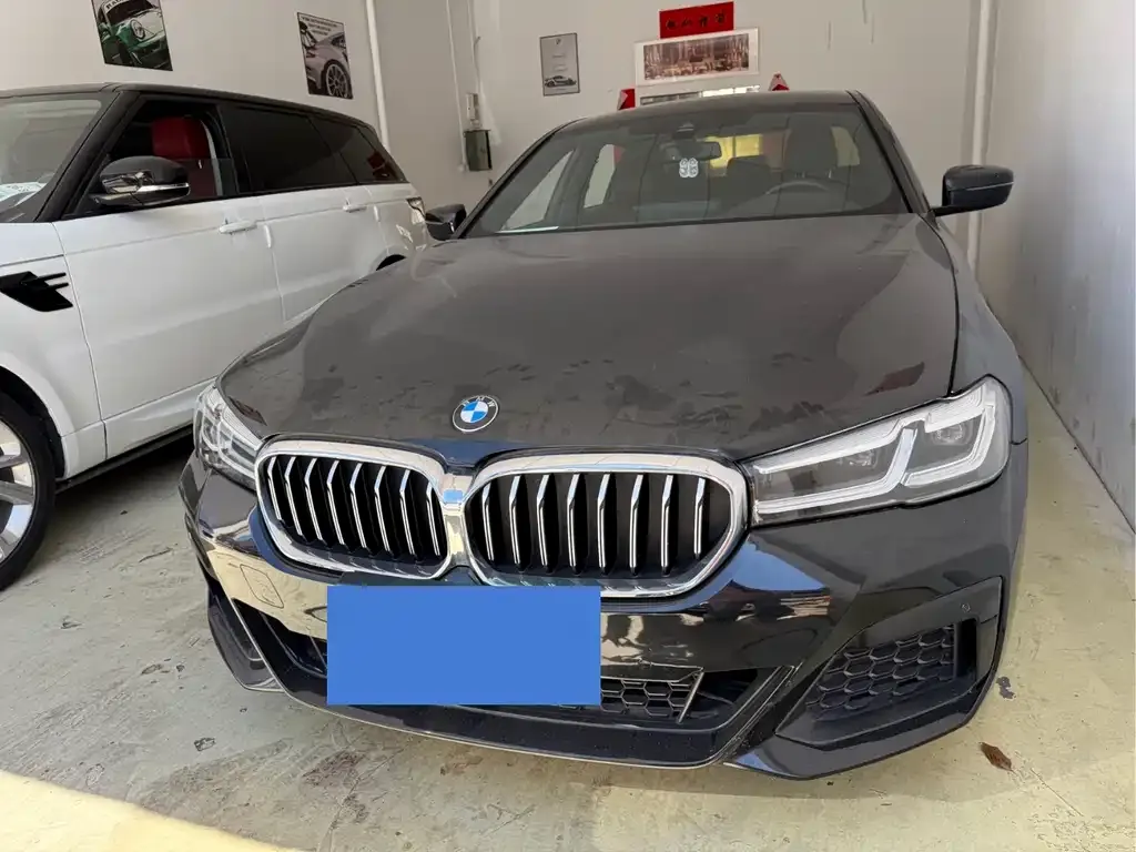 BMW 5 Series 2021 из CN, фото 9