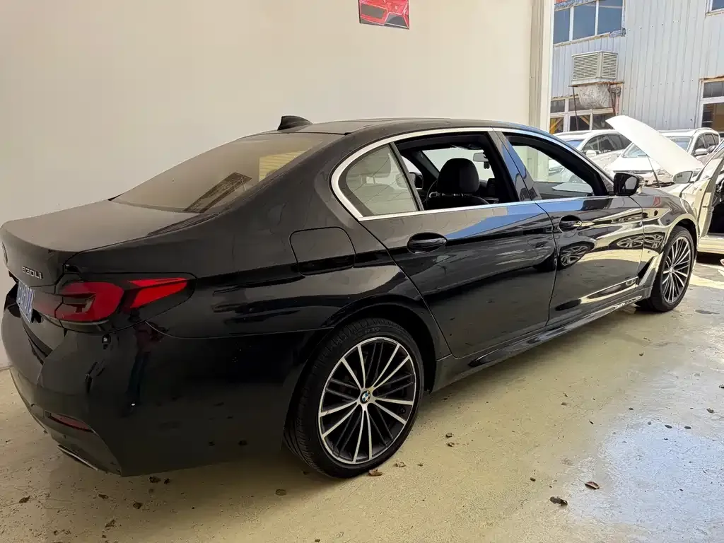 BMW 5 Series 2021 из CN, фото 5