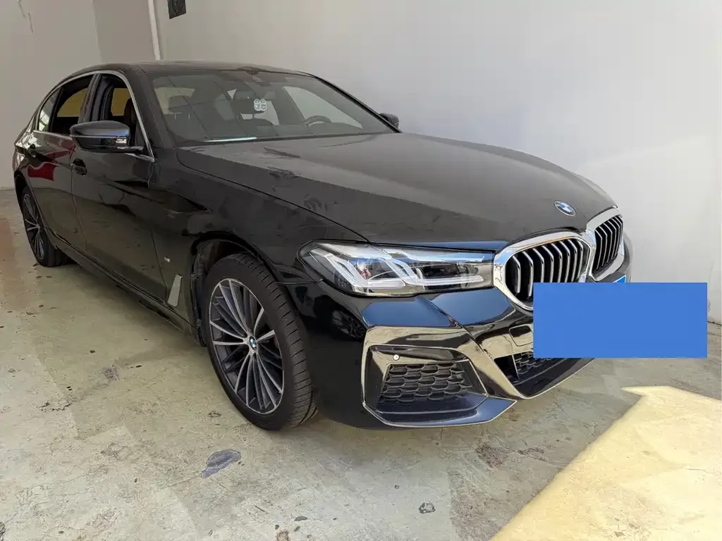 BMW 5 Series 2021 из CN, фото 8