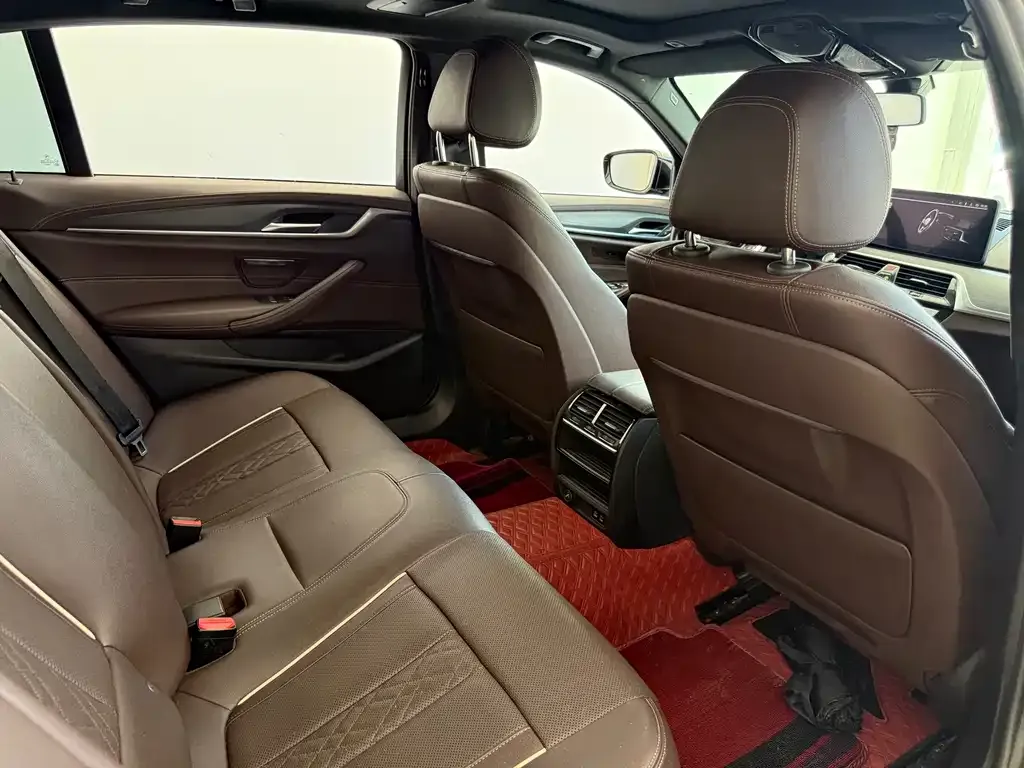 BMW 5 Series 2021 из CN, фото 7