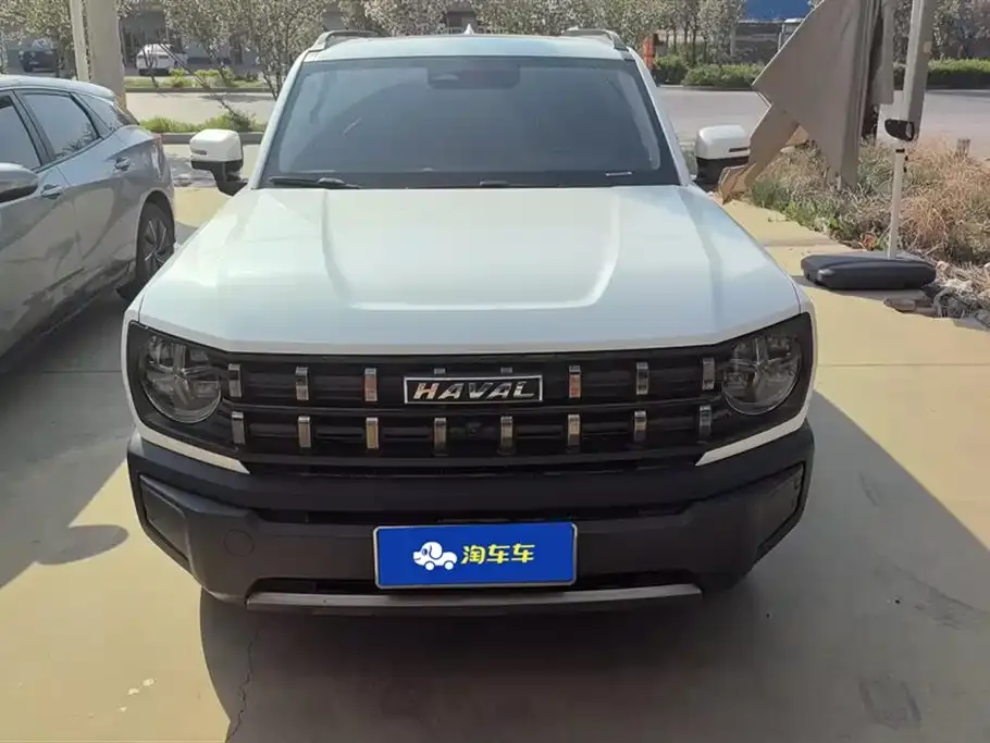 Haval Cool Dog 2023 из CN, фото 6