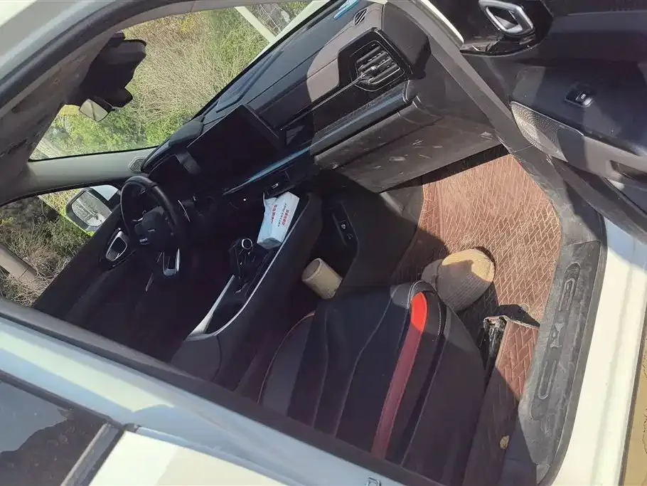Haval Cool Dog 2023 из CN, фото 8