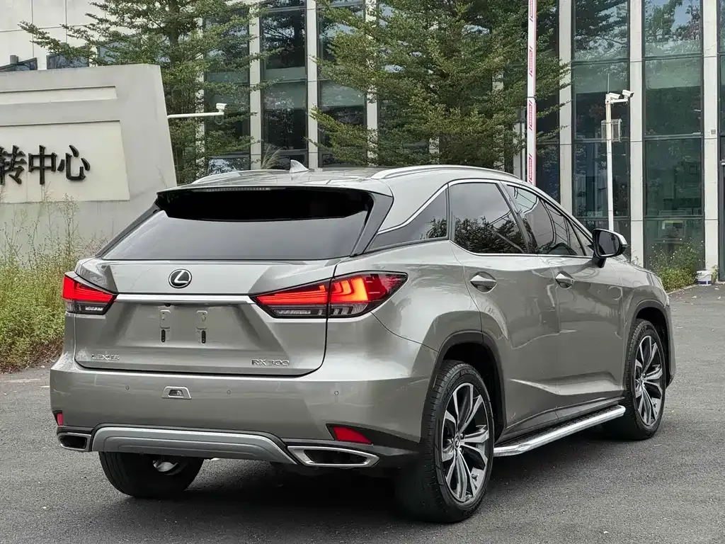 Lexus RX — фото 8