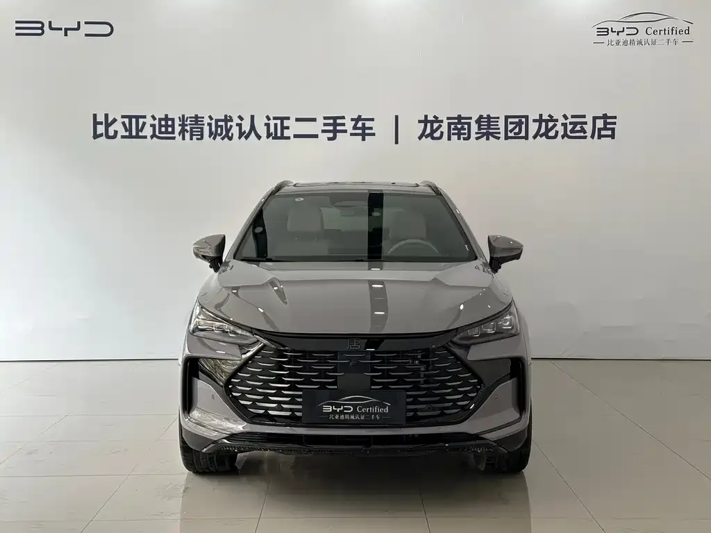 BYD Tang New Energy — фото 8