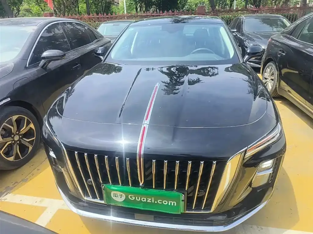 Hongqi H5 PHEV 2025 из CN, фото 10