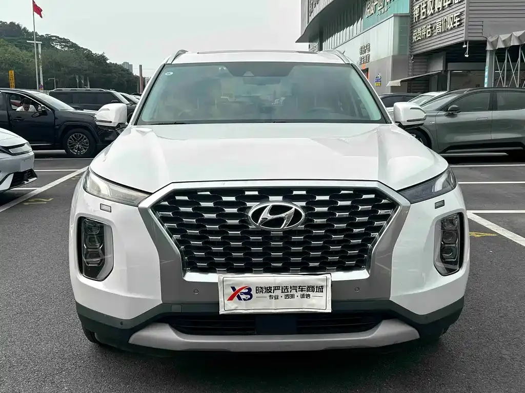 Hyundai Palisade 2021 из CN, фото 4