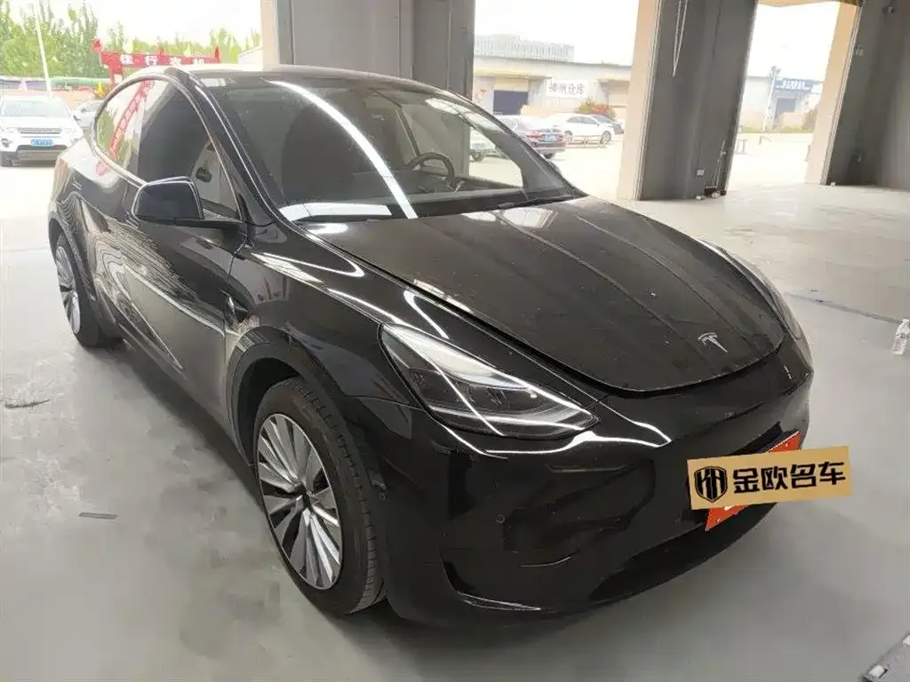 Tesla Model Y 2024 из CN, фото 6