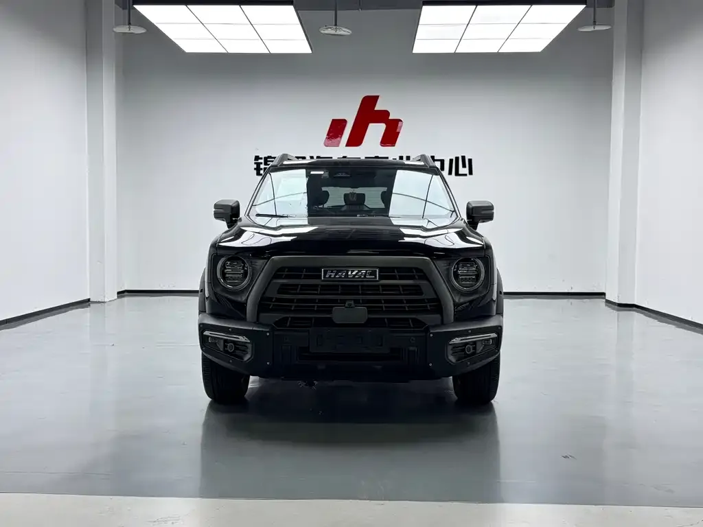 Haval Big Dog 2022 из CN, фото 2