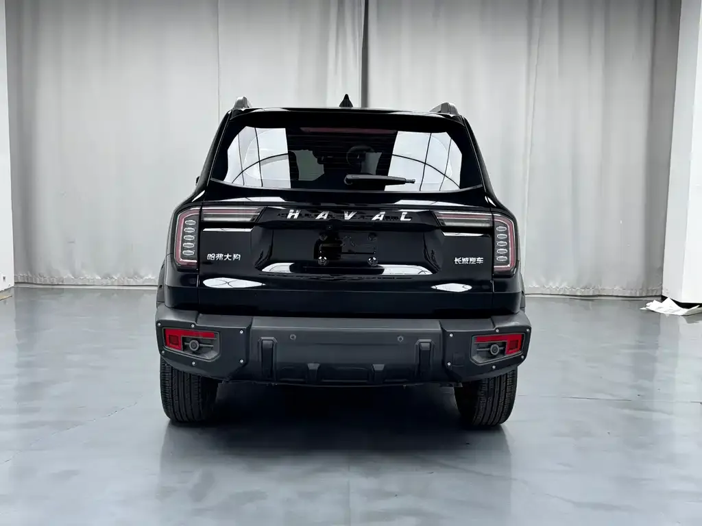 Haval Big Dog 2022 из CN, фото 9