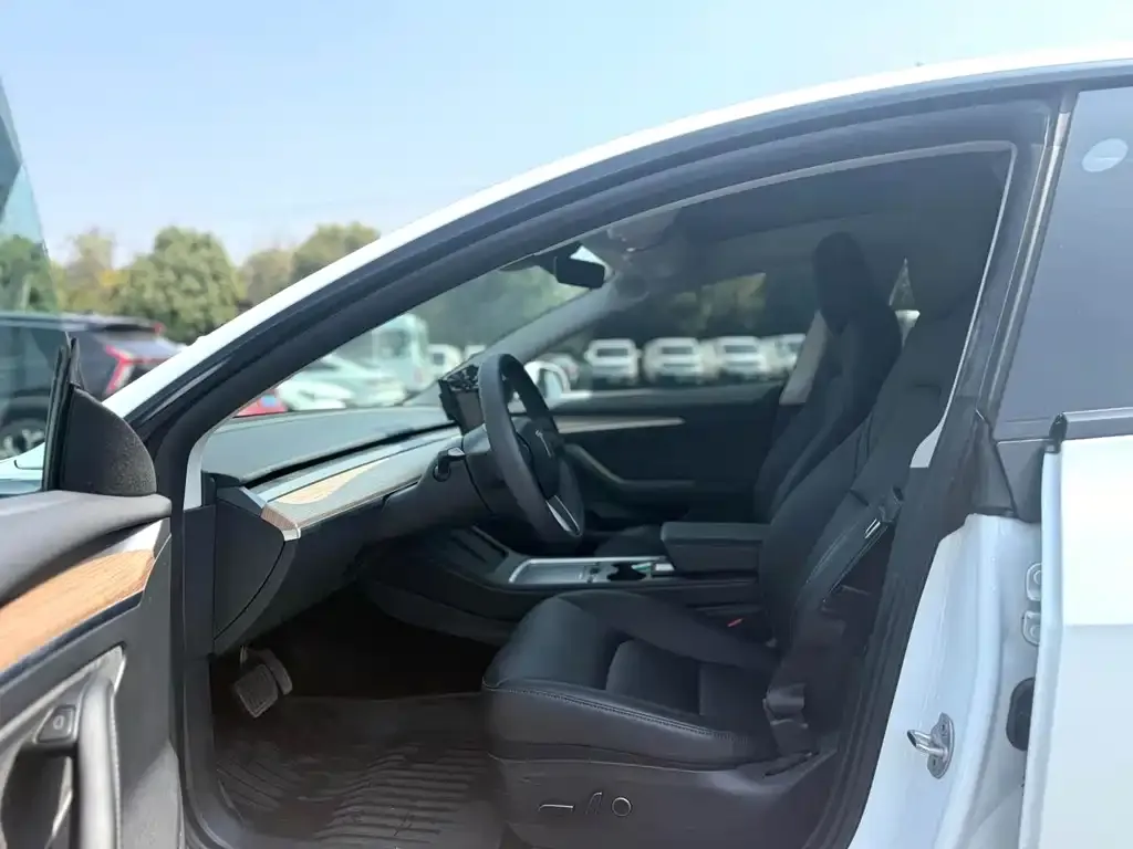 Tesla Model 3 2023 из CN, фото 2