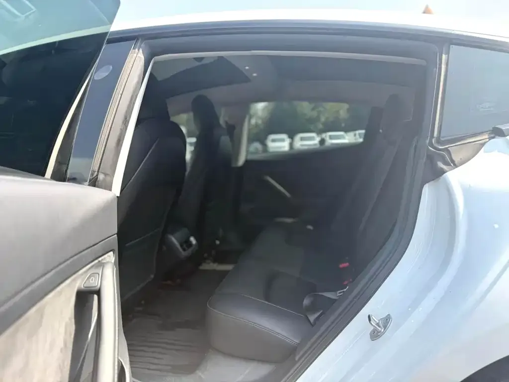 Tesla Model 3 2023 из CN, фото 3