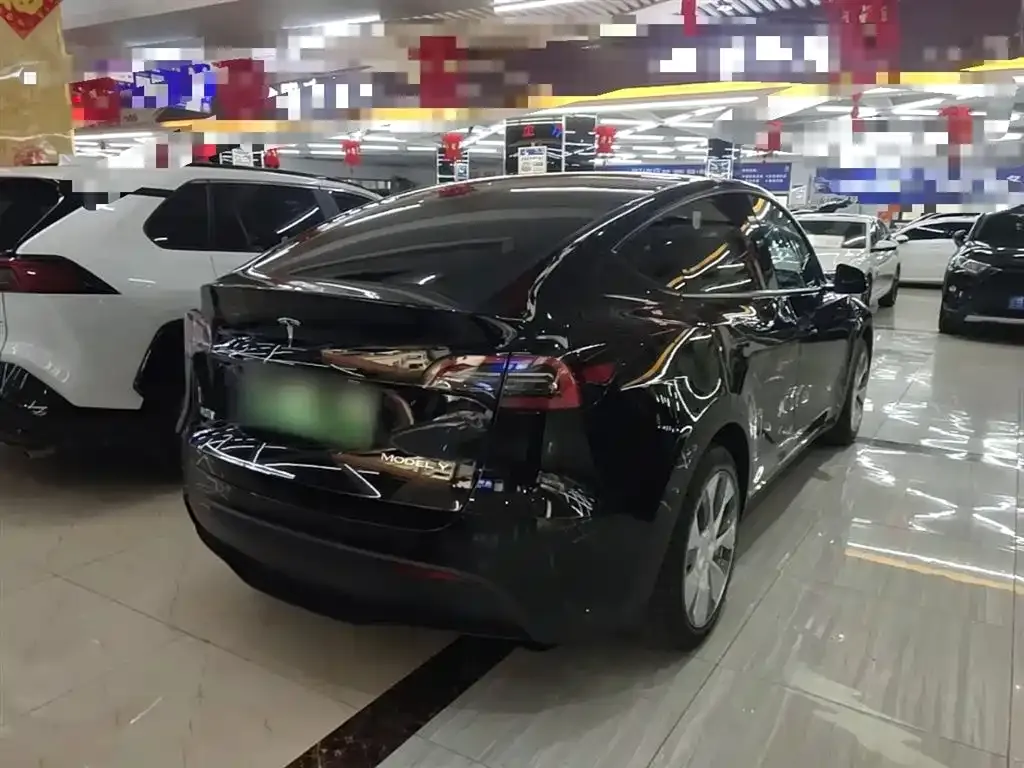 Tesla Model Y — фото 8
