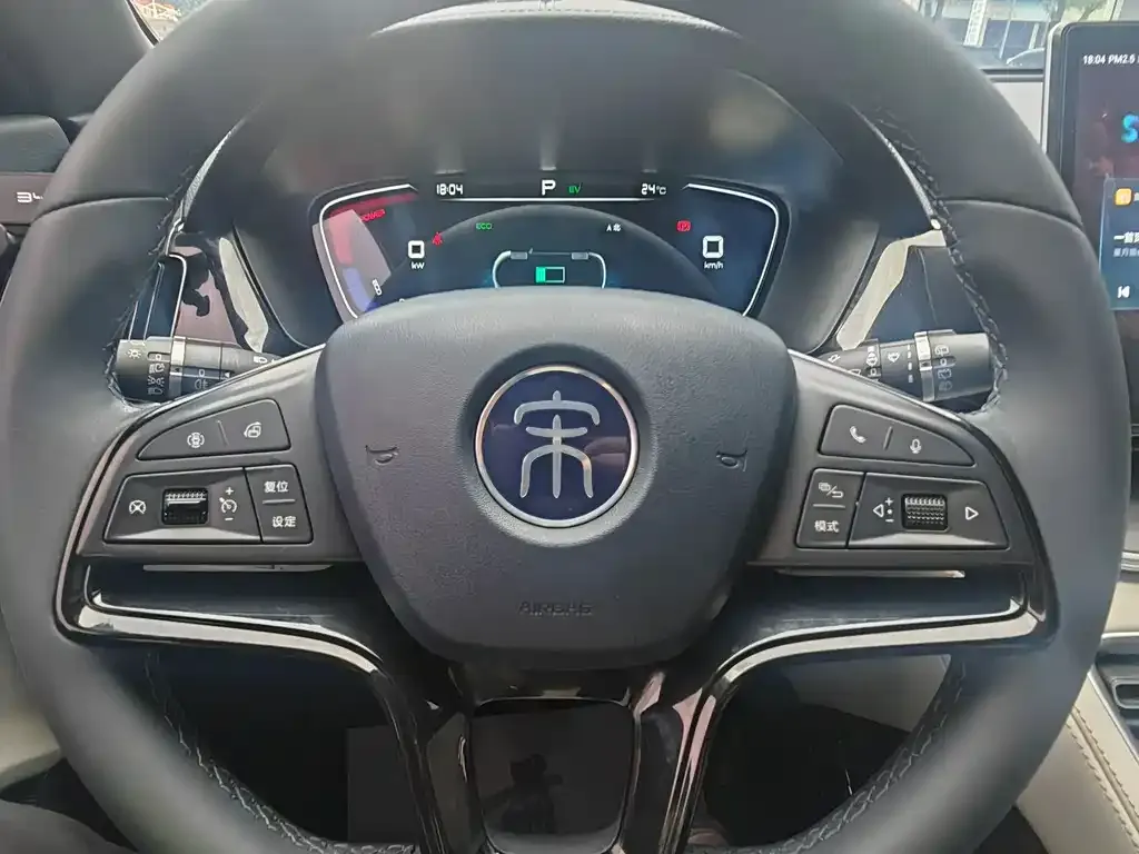 BYD PLUS New Energy 2023 из CN, фото 4