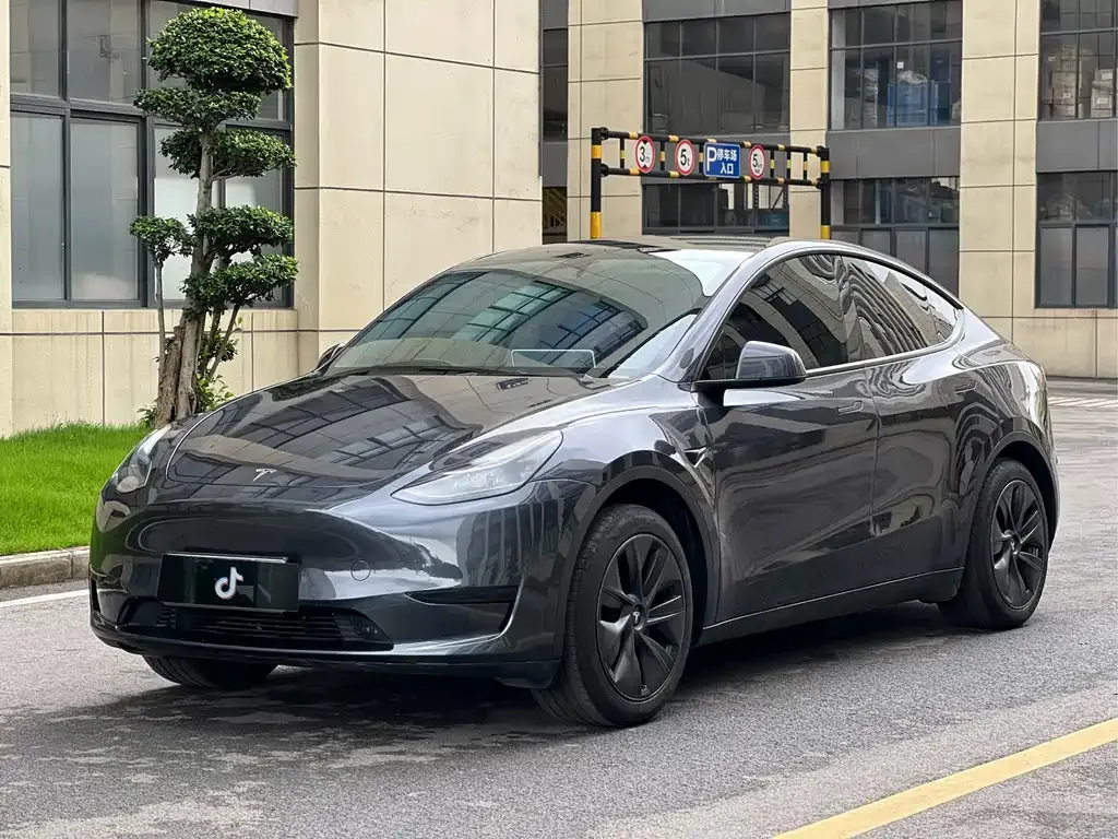 Tesla Model Y — фото 1