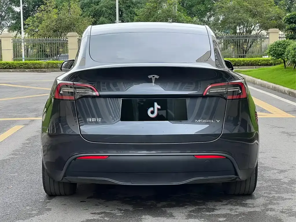 Tesla Model Y — фото 10