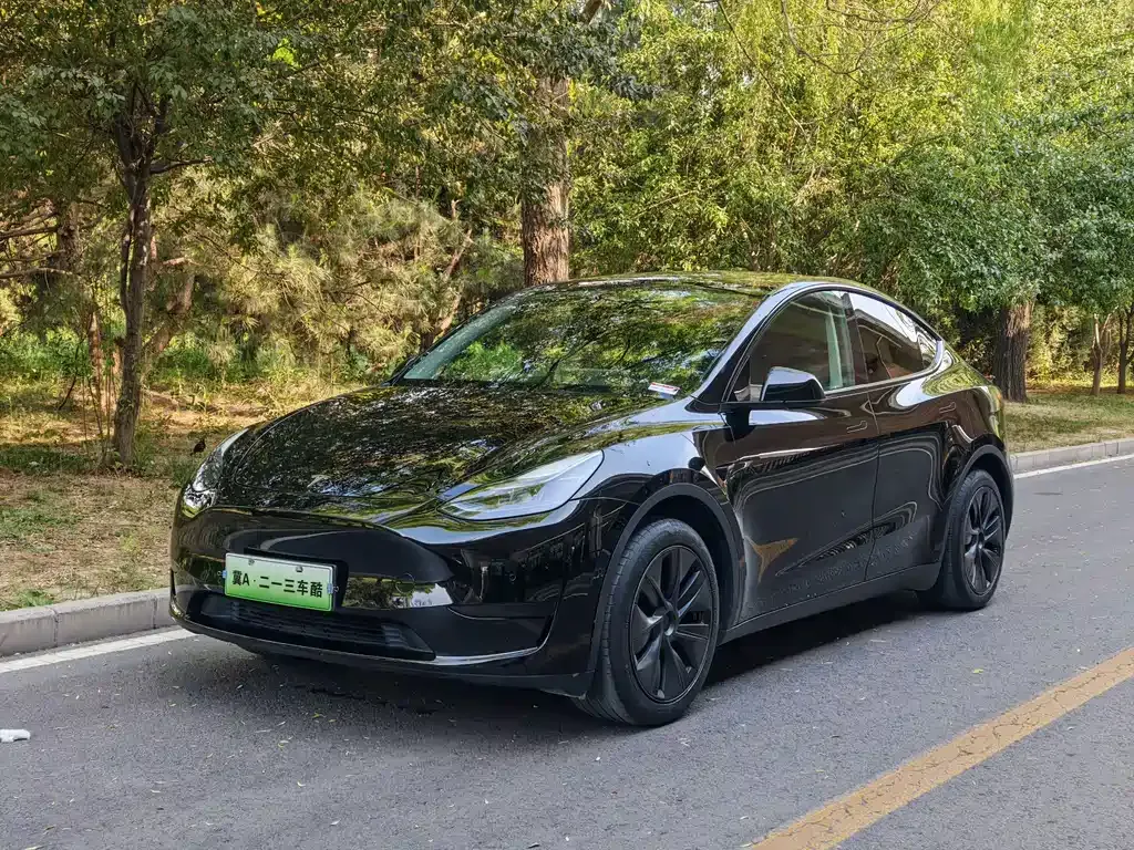 Tesla Model Y — фото 1