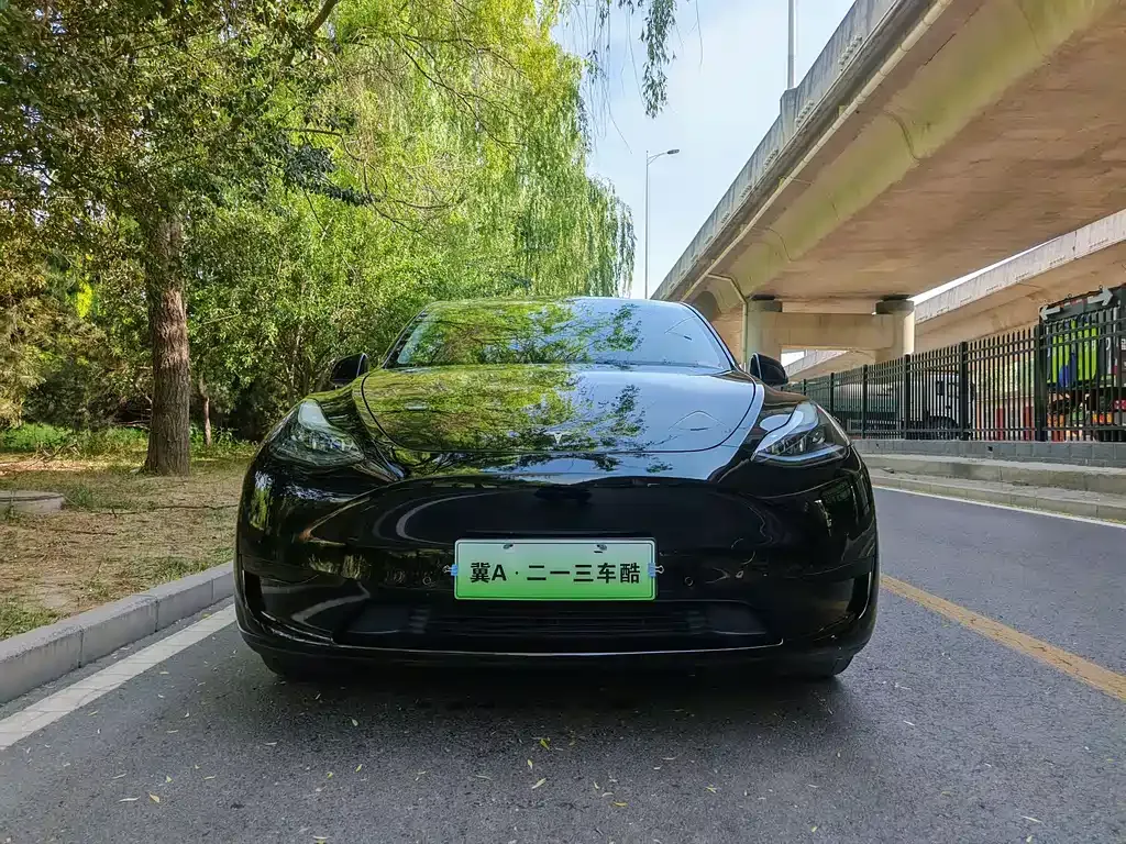 Tesla Model Y — фото 10