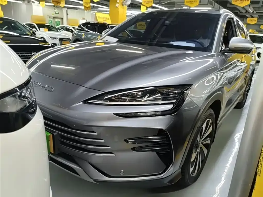 BYD PLUS New Energy — фото 1