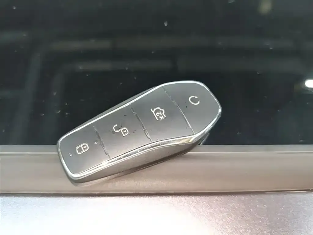 BYD PLUS New Energy — фото 2