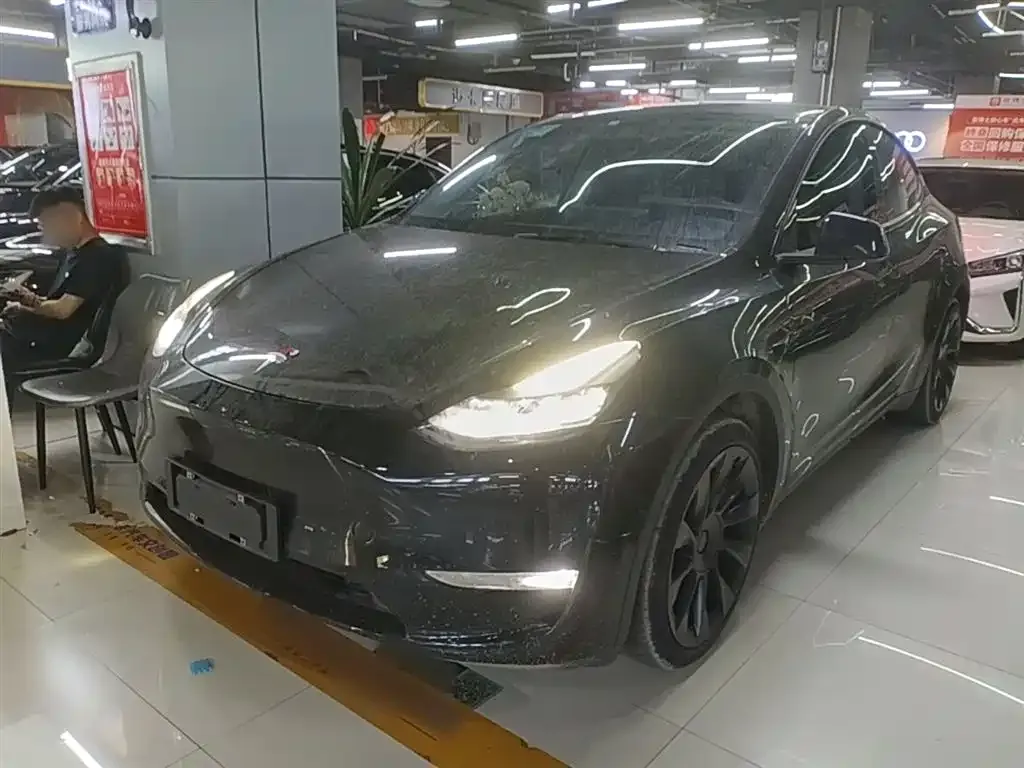 Tesla Model Y — фото 10