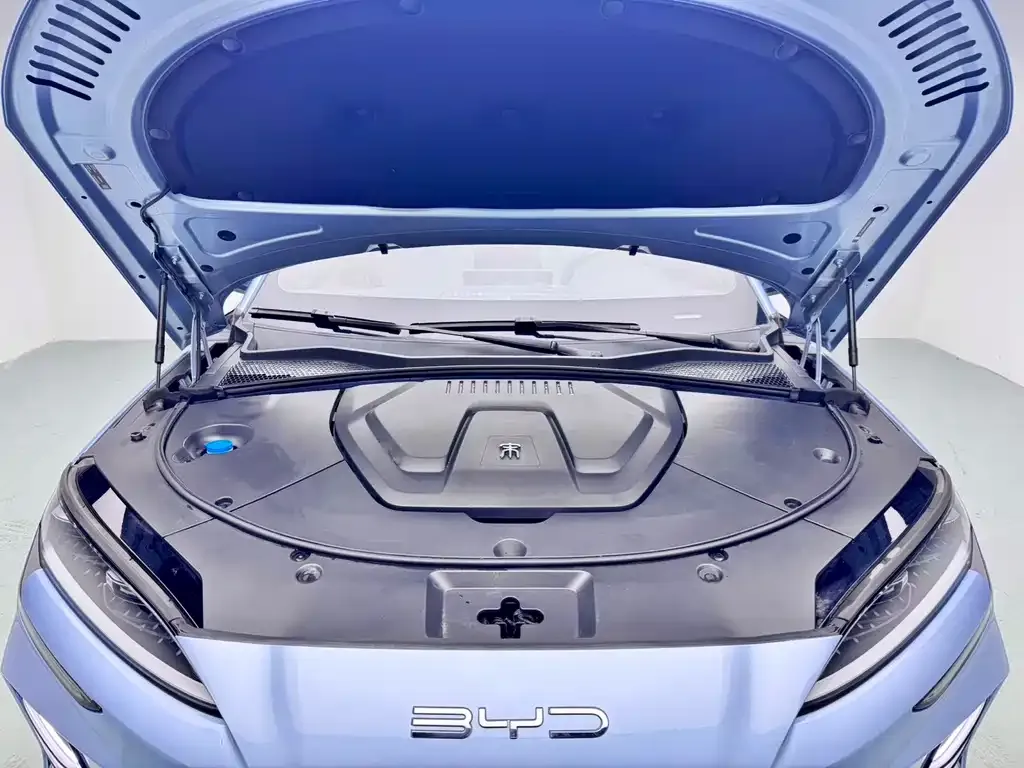 BYD PLUS New Energy — фото 10