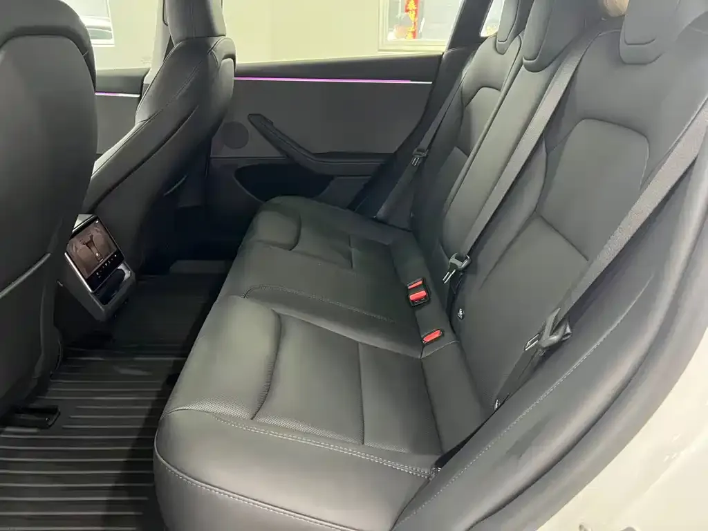 Tesla Model 3 2023 из CN, фото 2