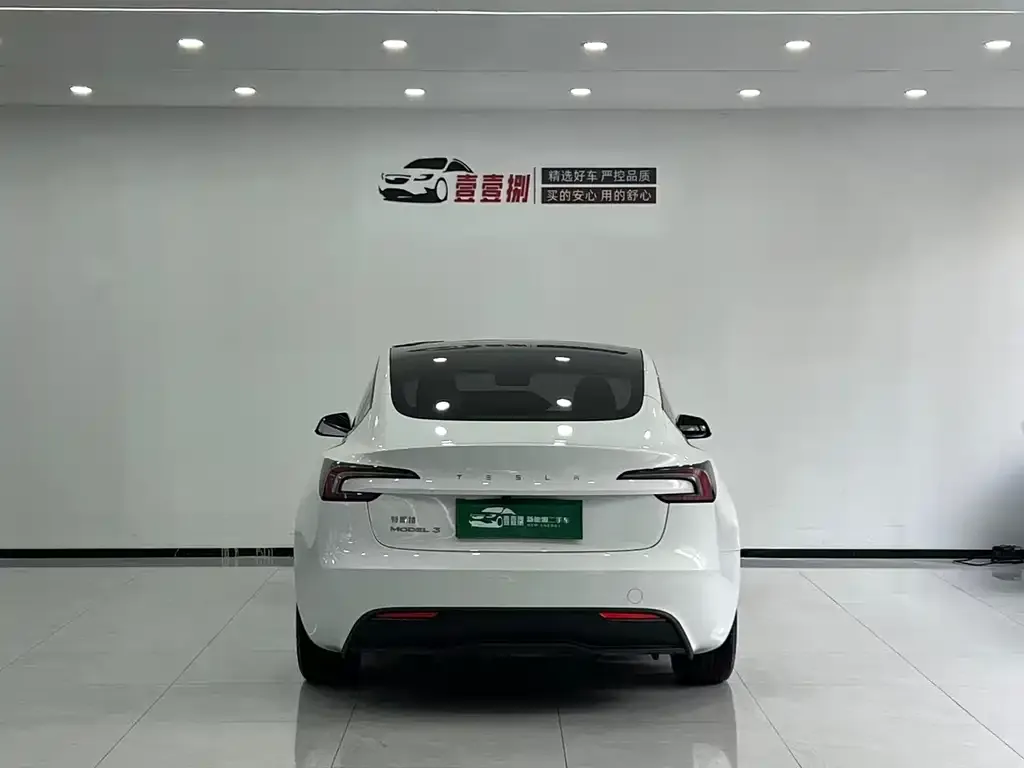 Tesla Model 3 2023 из CN, фото 3