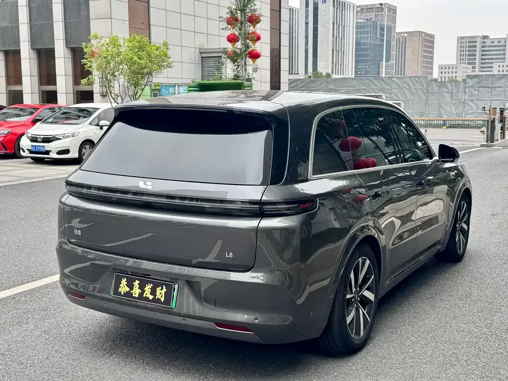 Li Auto L8 2023 из CN, фото 6