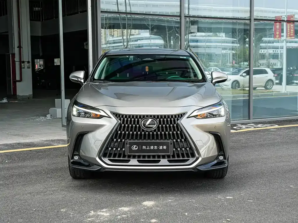 Lexus NX New Energy 2023 из CN, фото 10