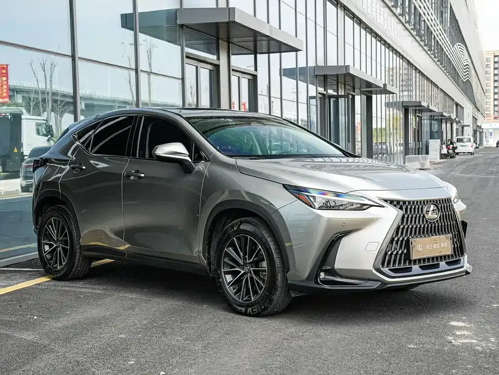 Lexus NX New Energy 2023 из CN, фото 8