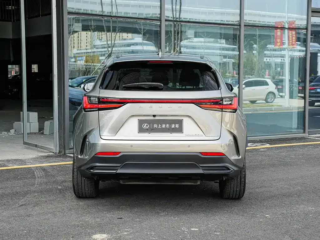 Lexus NX New Energy 2023 из CN, фото 7