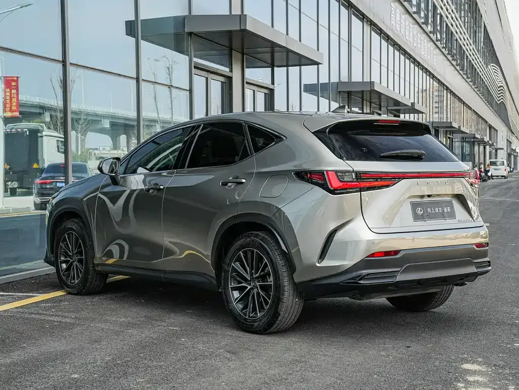 Lexus NX New Energy 2023 из CN, фото 4