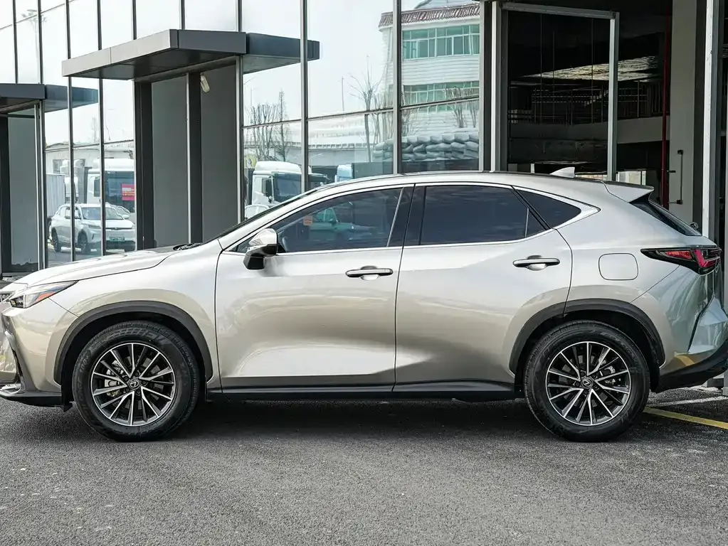Lexus NX New Energy 2023 из CN, фото 9
