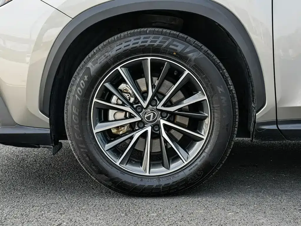 Lexus NX New Energy 2023 из CN, фото 5