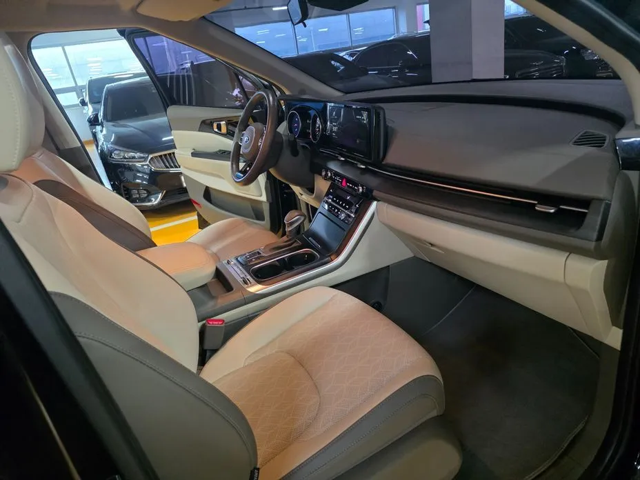 Kia Carnival — фото 10